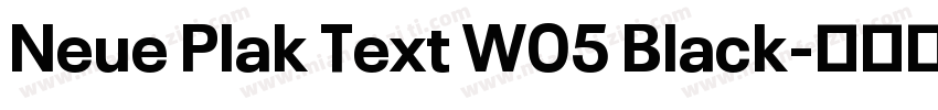 Neue Plak Text W05 Black字体转换